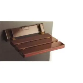 Shower Seat